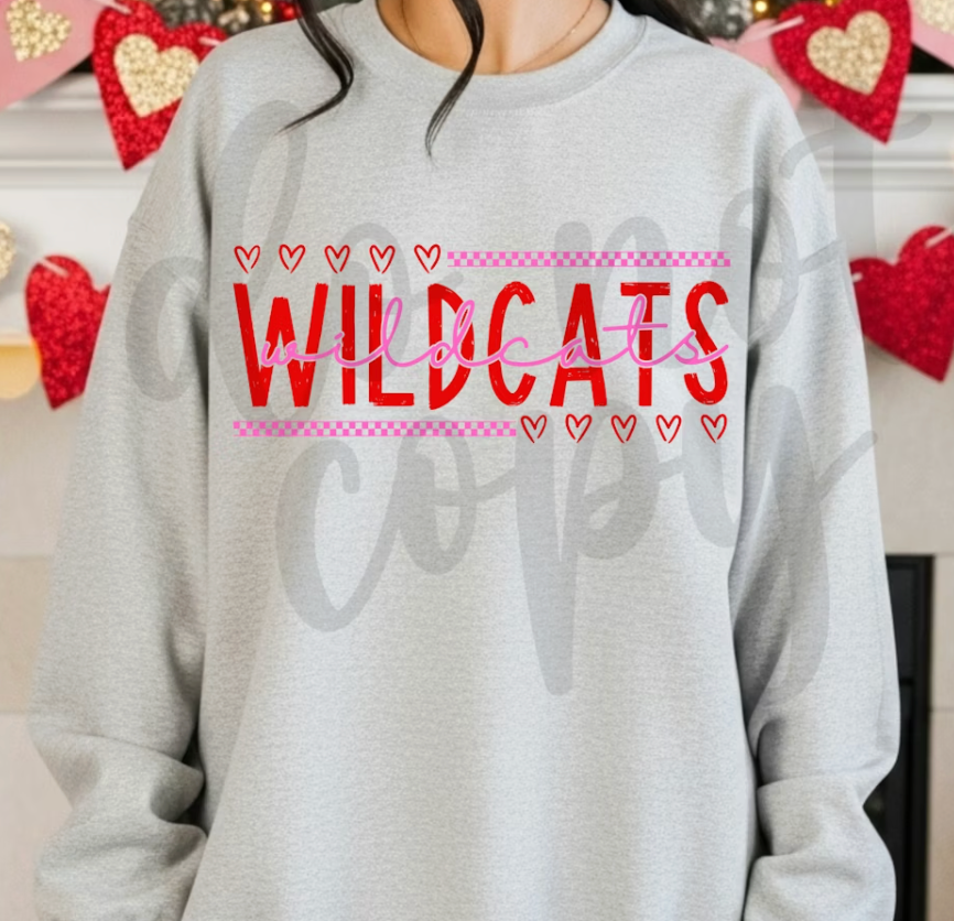 Valentine School Custom