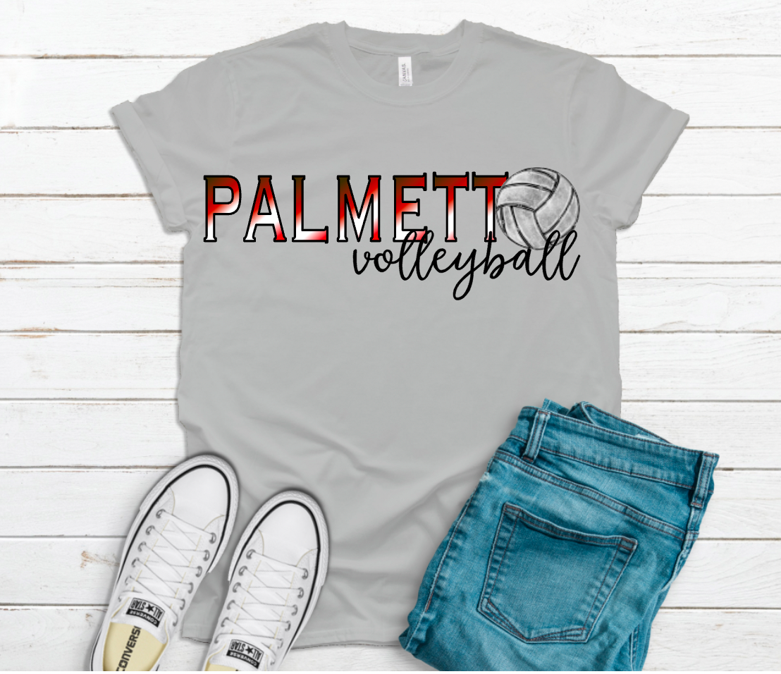 Any Team Volleyball (insert colors and school into box)