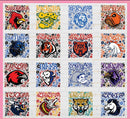 Floral Football Mascots (include team in personalization box)-3