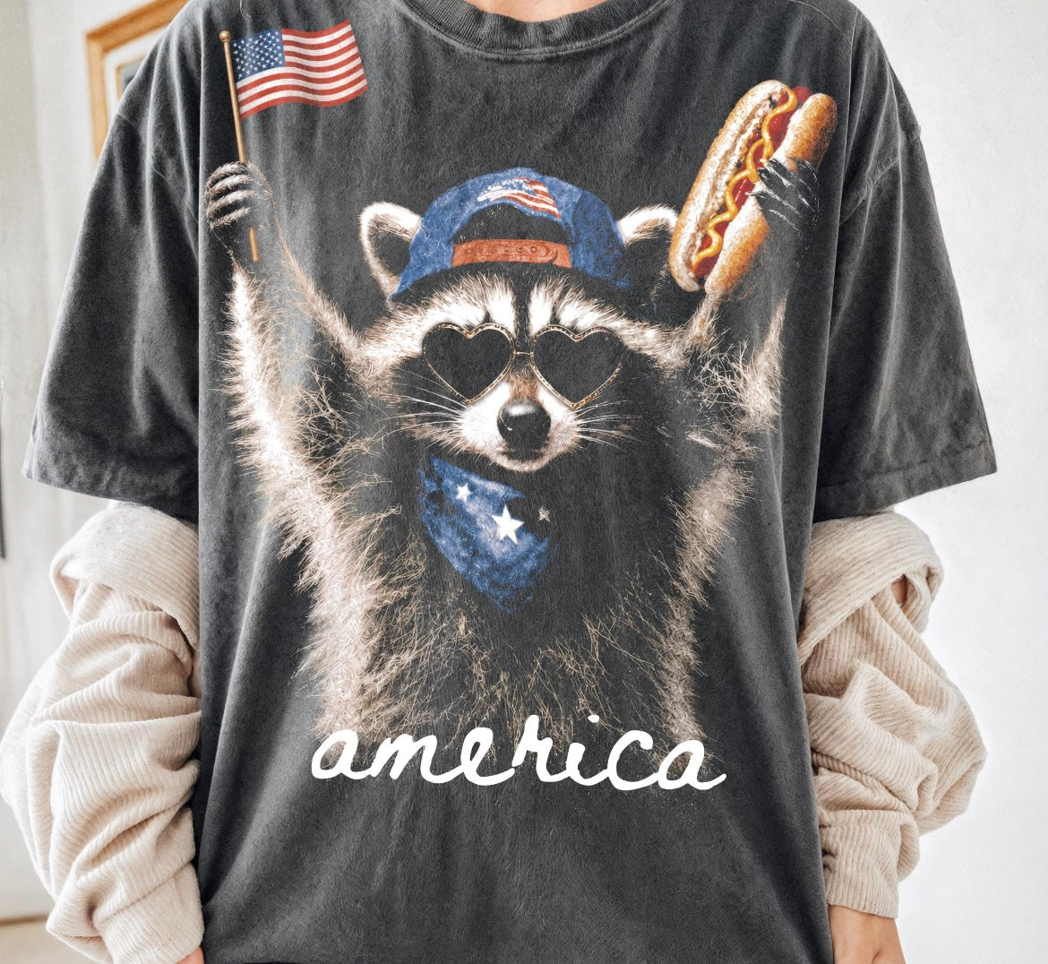 America Racoon