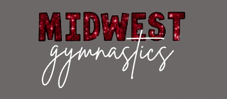 Custom Team Faux Sequin Sport