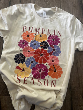 Anniversary Sale Pumpkins