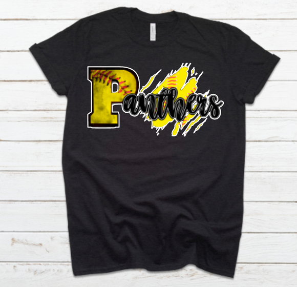 Panthers Fastpitch Splash