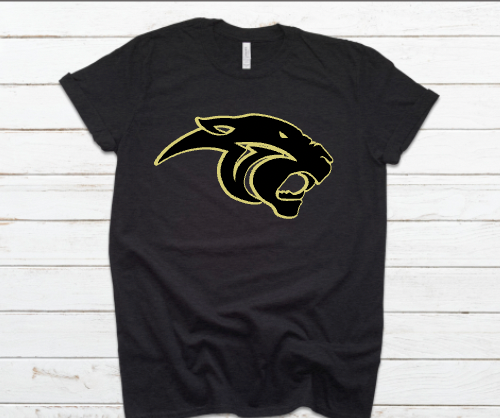 Panthers Classic Logo