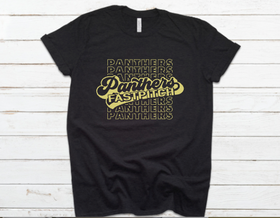 Panthers Fastpitch Stack