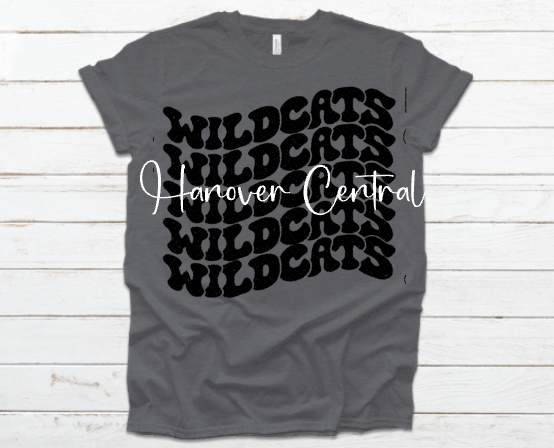 Hanover Central Collection