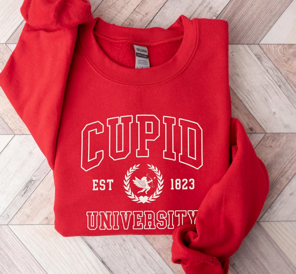 Cupid University