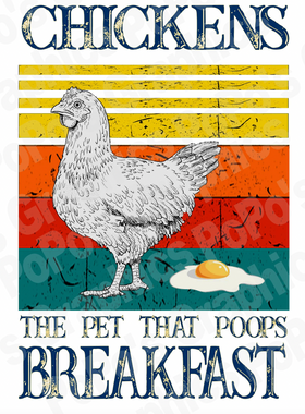 Chickens Poop Breakfast