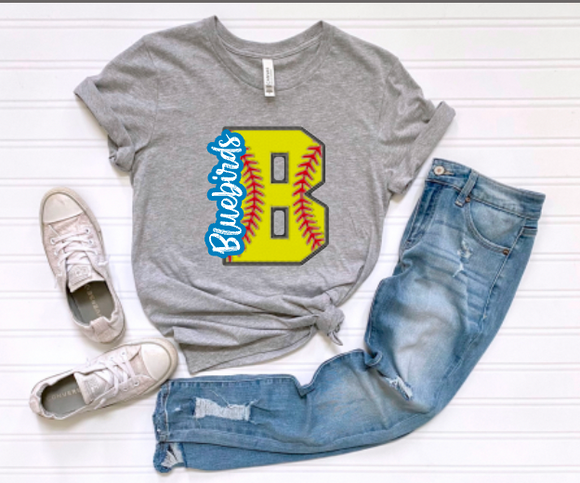 Custom Softball YOUR TEAM