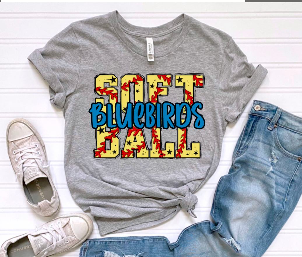 Custom Softball YOUR TEAM