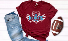 Hanover Wildcats Football Scratch