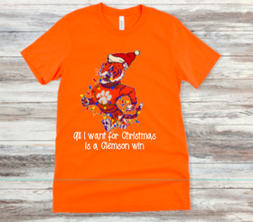 All I Want for Christmas