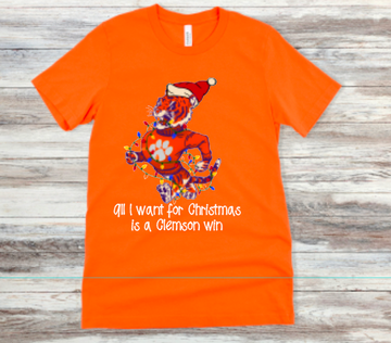 All I Want for Christmas