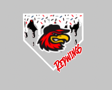 RedWings Drip (include name and number in personalization box- If you want another shirt color, just include in personalization box as well - 0