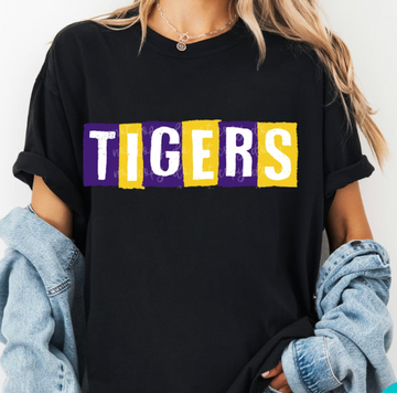 (YourTeam) Grunge Block Mascot