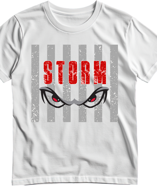 2026 Storm Collection