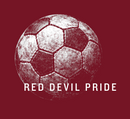 RDP Anniversary Special - use code anniversary to take 50% off tee-1