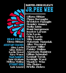 Hanover Wildcats Cheer Tee 2025-3