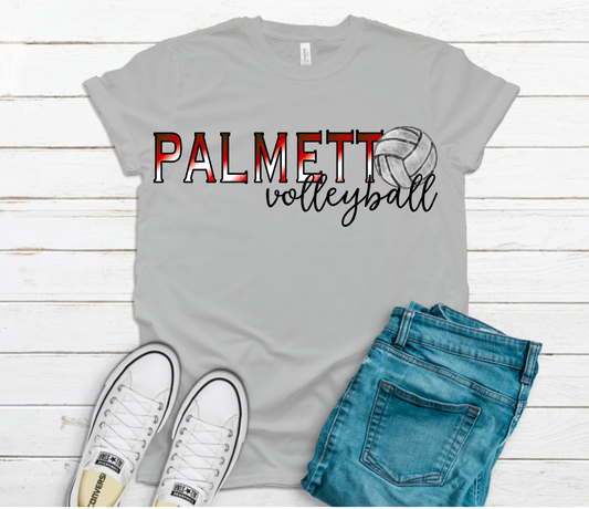 Any Team Volleyball (insert colors and school into box)