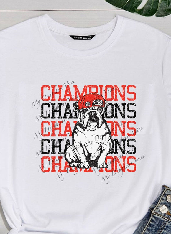 Georgia Champions